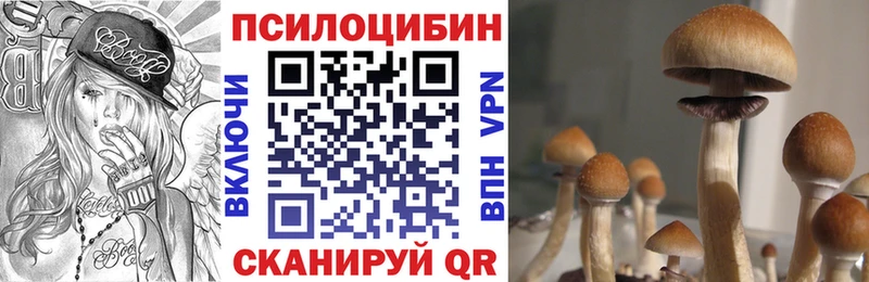 Галлюциногенные грибы Magic Shrooms  Урень 
